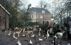 804438 Gezicht in het hertenkamp in het park Oog en Al te Utrecht, met op de achtergrond het huis Oog in Al.